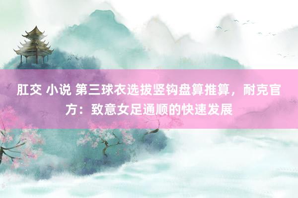 肛交 小说 第三球衣选拔竖钩盘算推算，耐克官方：致意女足通顺的快速发展