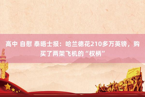 高中 自慰 泰晤士报：哈兰德花210多万英镑，购买了两架飞机的“权柄”